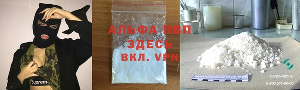 индика Абинск