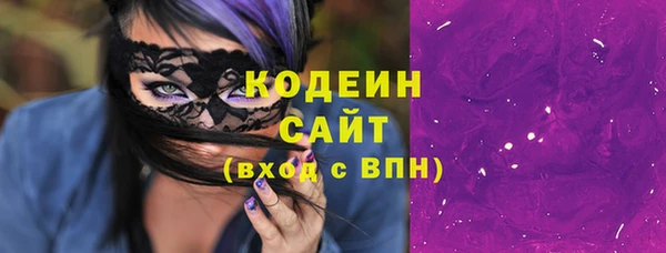 индика Абинск