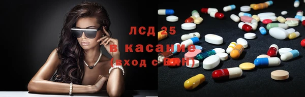 индика Абинск