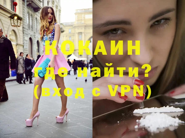 индика Абинск