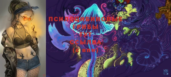 индика Абинск