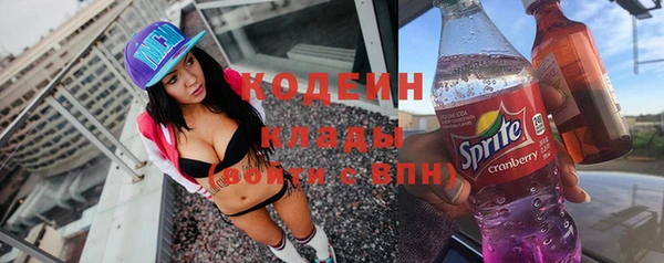 индика Абинск