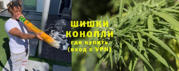 индика Абинск