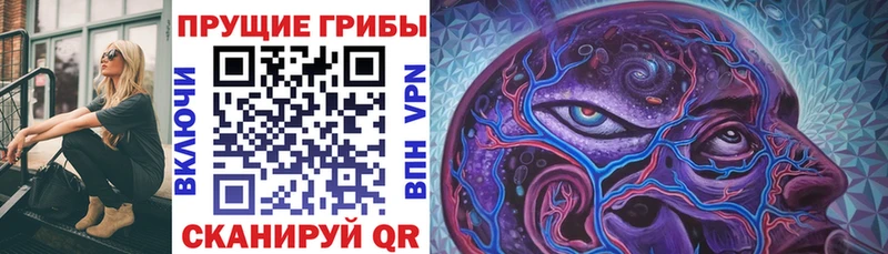 Галлюциногенные грибы ЛСД как найти Никольск